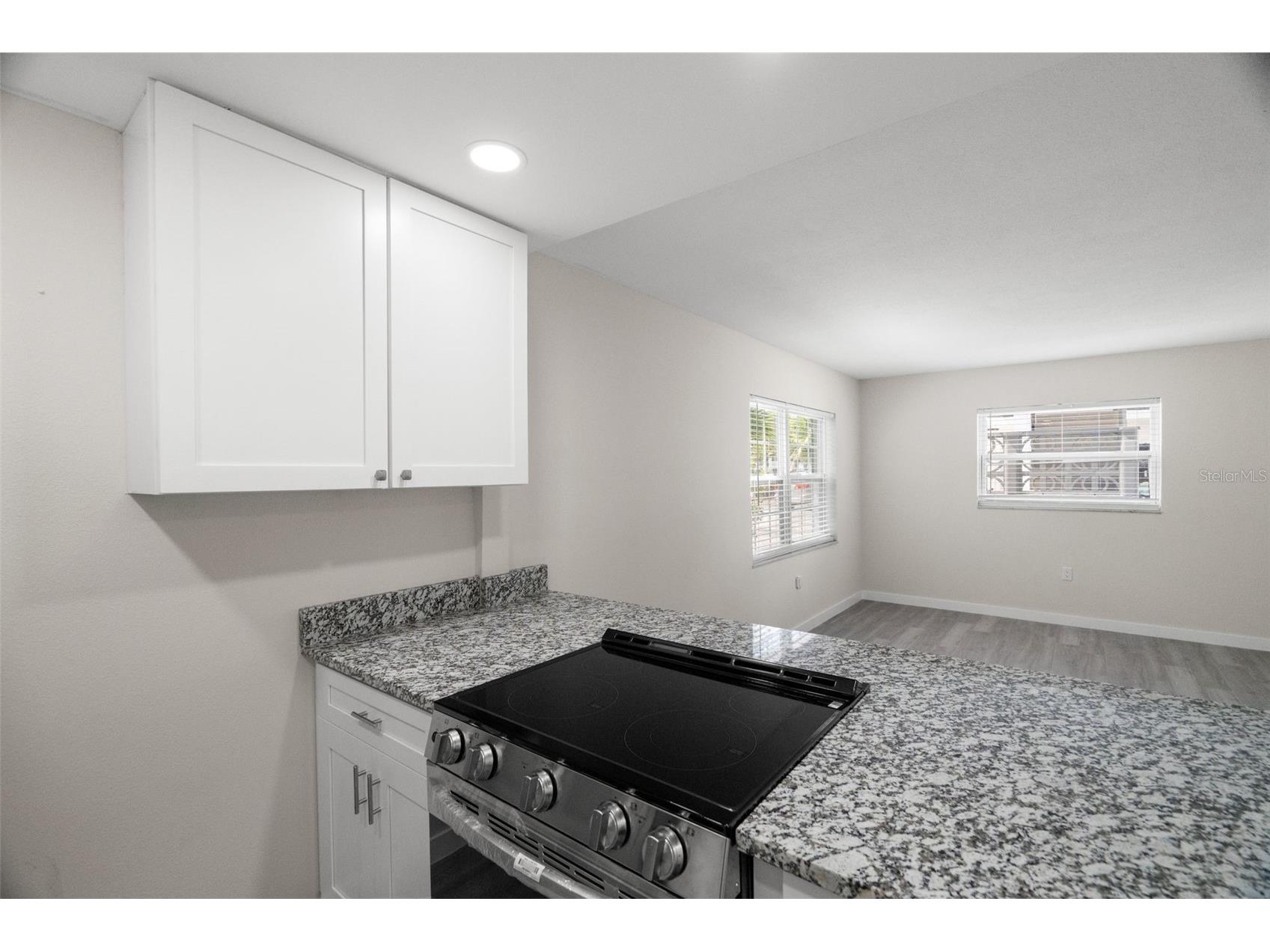 11655 3rd Street E #1 Treasure Island FL 33706 TB8495512 image19