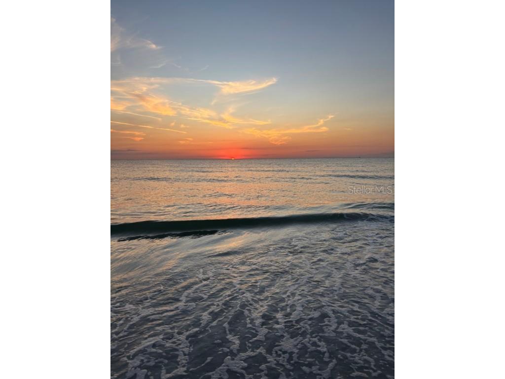 11655 3rd Street E #5 Treasure Island FL 33706 TB8445036 image11