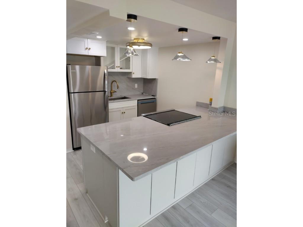 11655 3rd Street E #5 Treasure Island FL 33706 TB8445036 image4