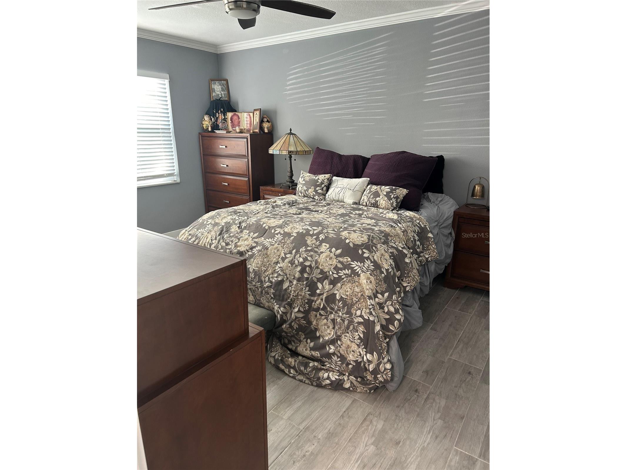 11655 3rd Street E #8 Treasure Island FL 33706 TB8496635 image2