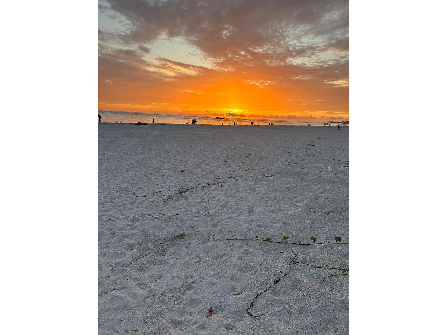 11655 3rd Street E #8 Treasure Island FL 33706 TB8496635 image24