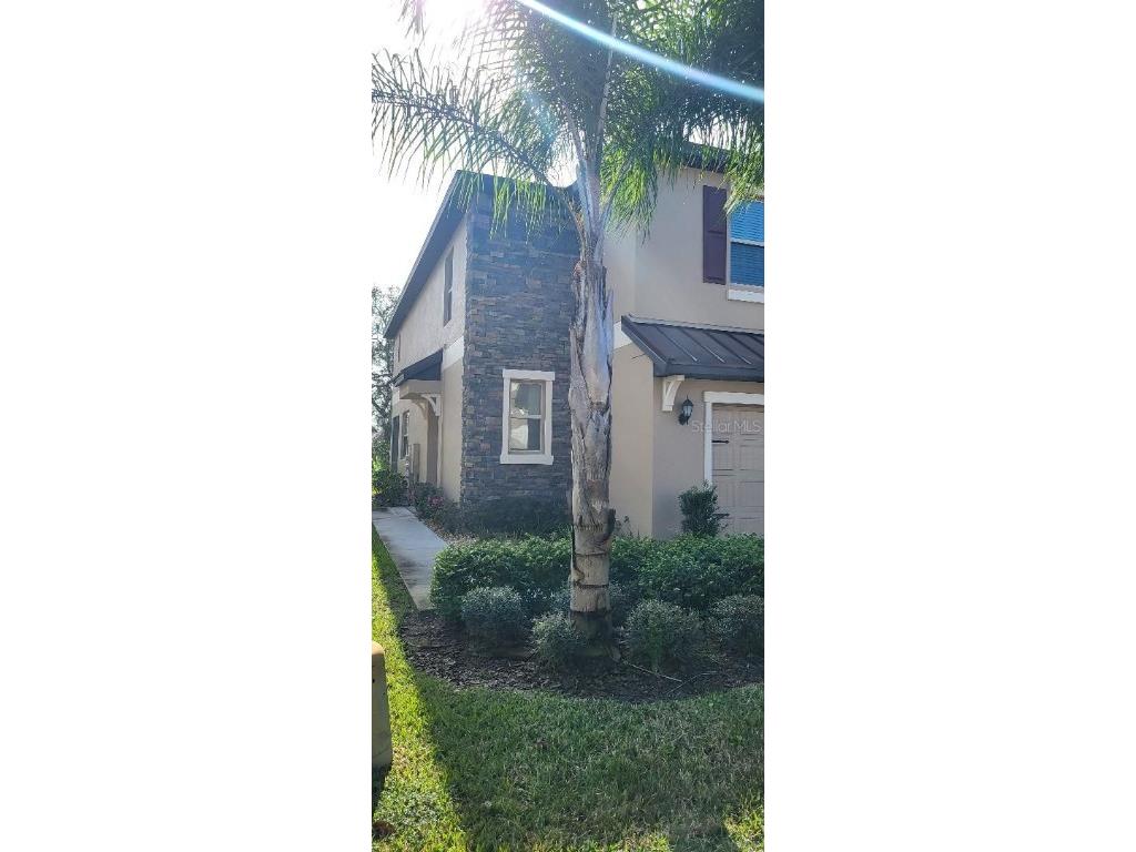 11656 Castine Street New Port Richey FL 34654 W7860686 image1