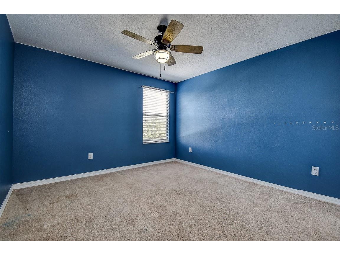 11656 Lake Boulevard New Port Richey FL 34655 TB8444436 image34