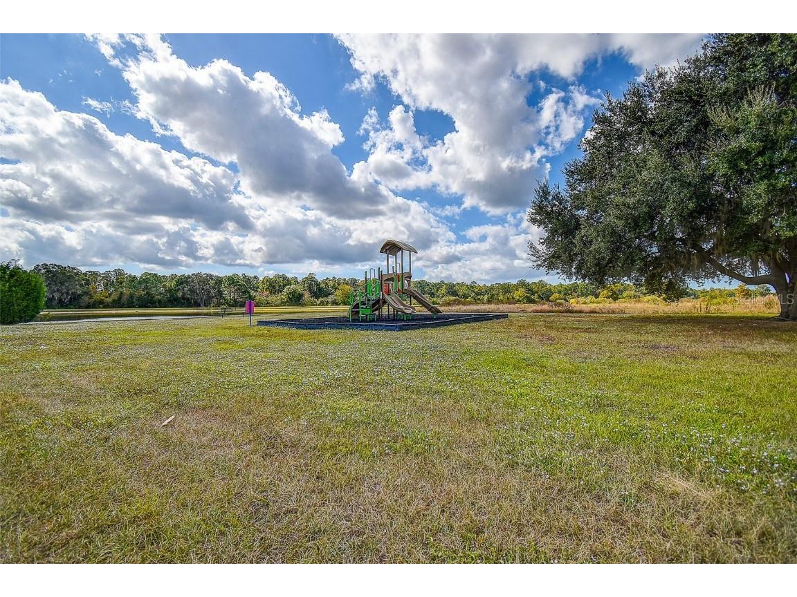 11656 Lake Boulevard New Port Richey FL 34655 TB8444436 image54