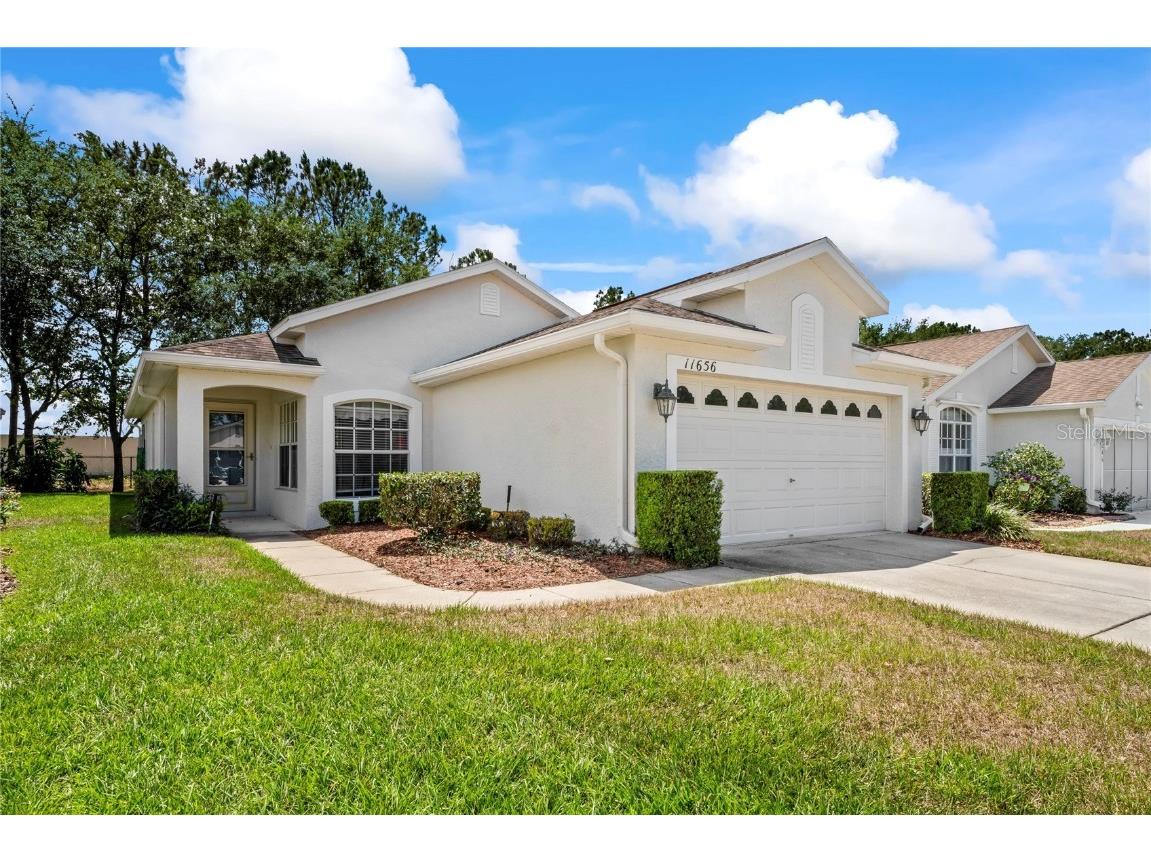 11656 New Haven Drive Spring Hill FL 34609 U8197505 image1