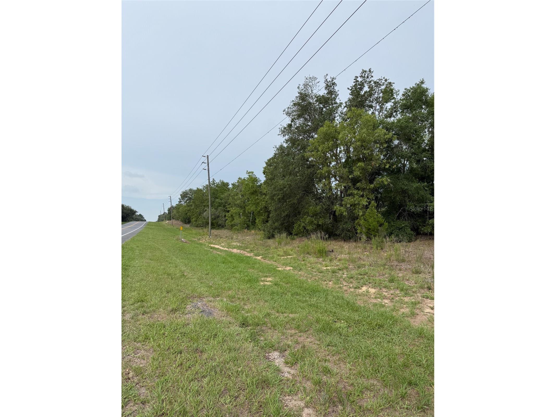 11656 S Florida Avenue Floral City FL 34436 TB8499943 image3