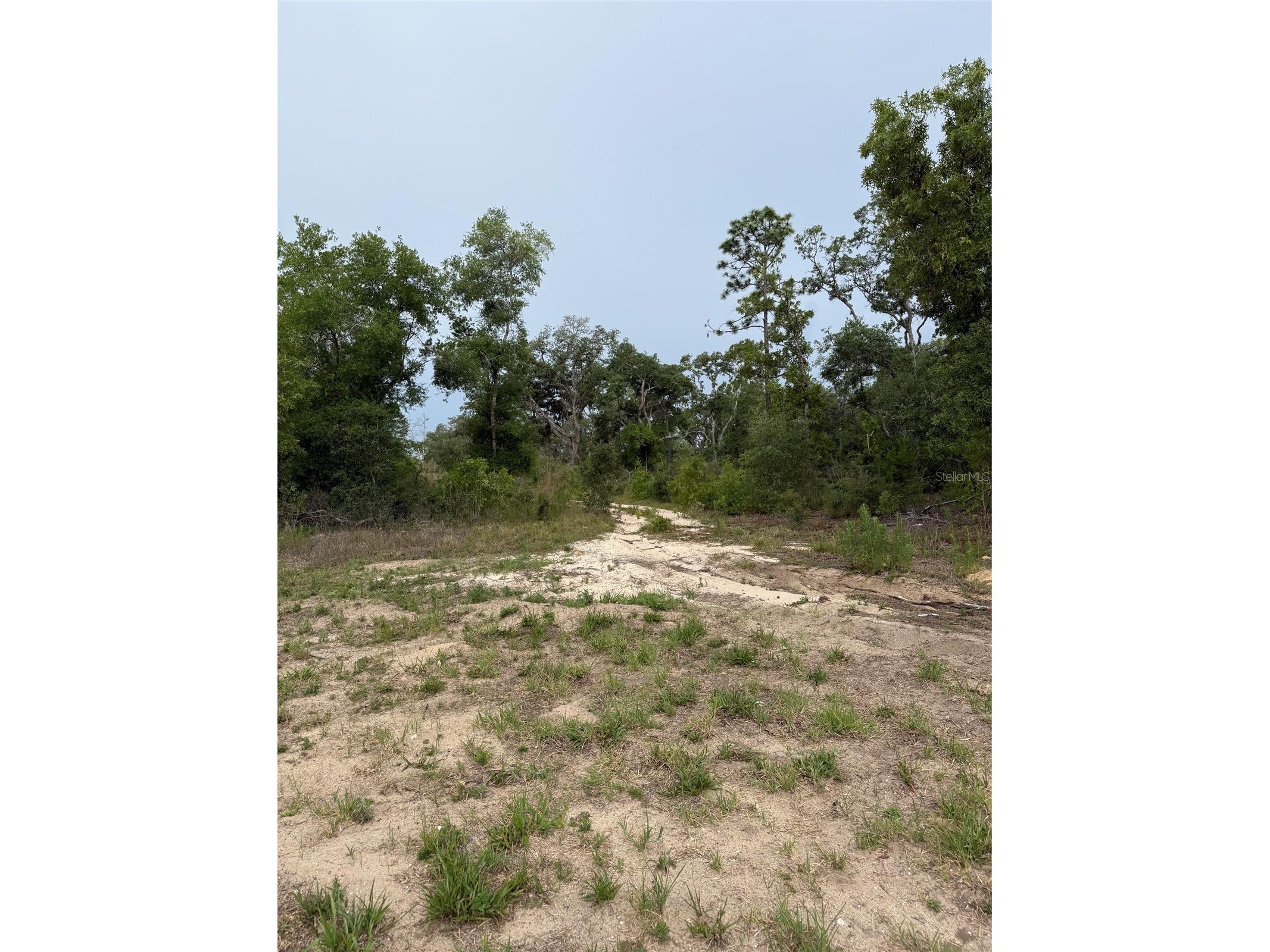 11656 S Florida Avenue Floral City FL 34436 TB8499943 image4