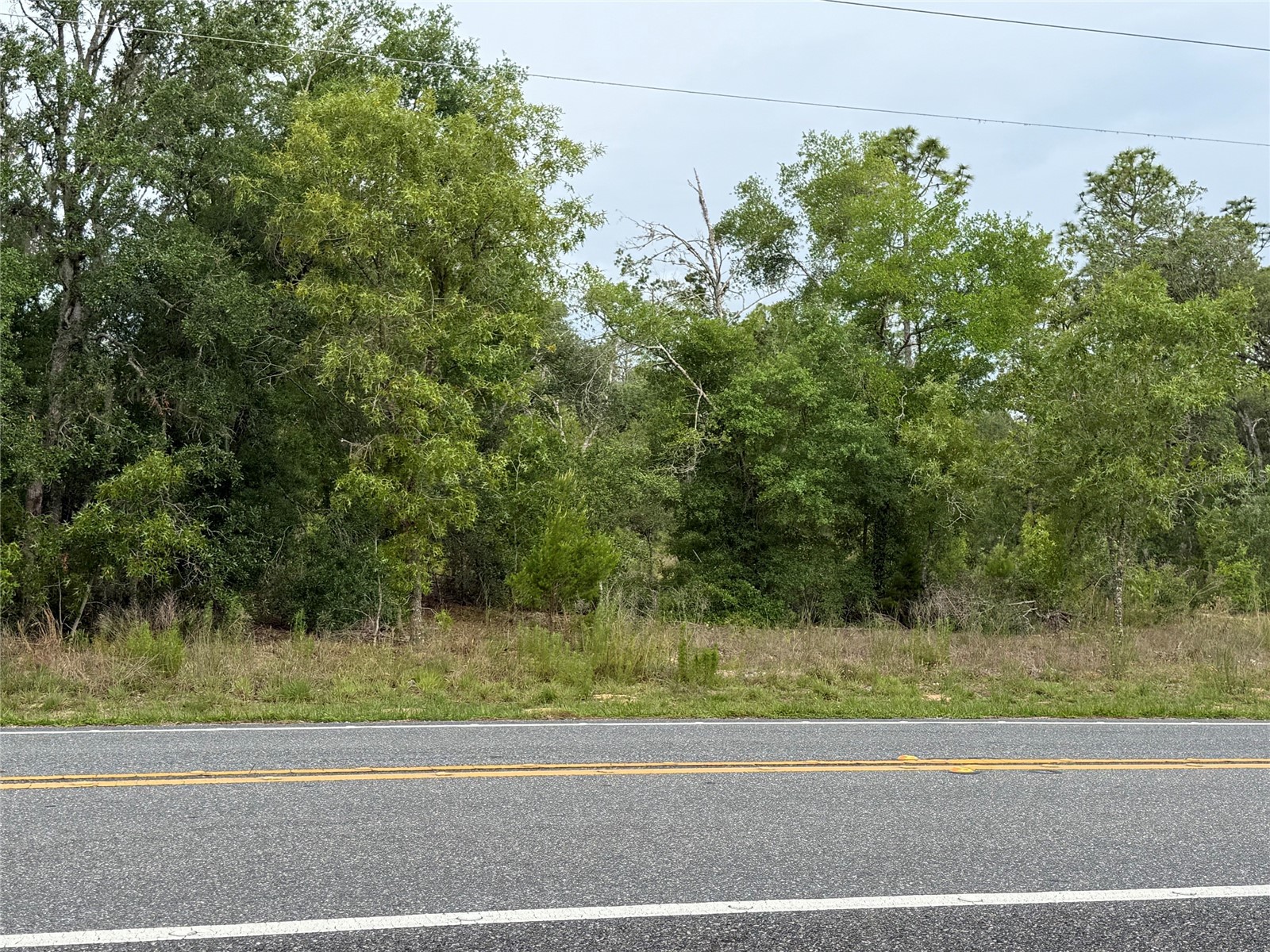 11656 S Florida Avenue Floral City FL 34436 TB8499943 image5