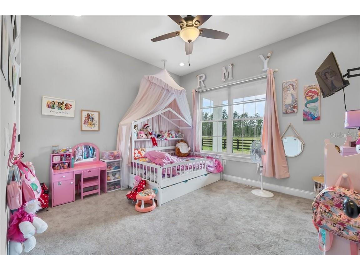 11657 Moore Road Lakeland FL 33809 A4650676 image63