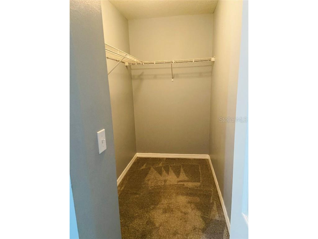 11658 Mango Ridge Boulevard Seffner FL 33584 TB8457020 image12