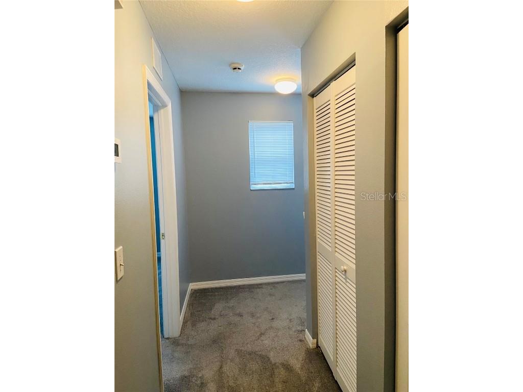 11658 Mango Ridge Boulevard Seffner FL 33584 TB8457020 image16