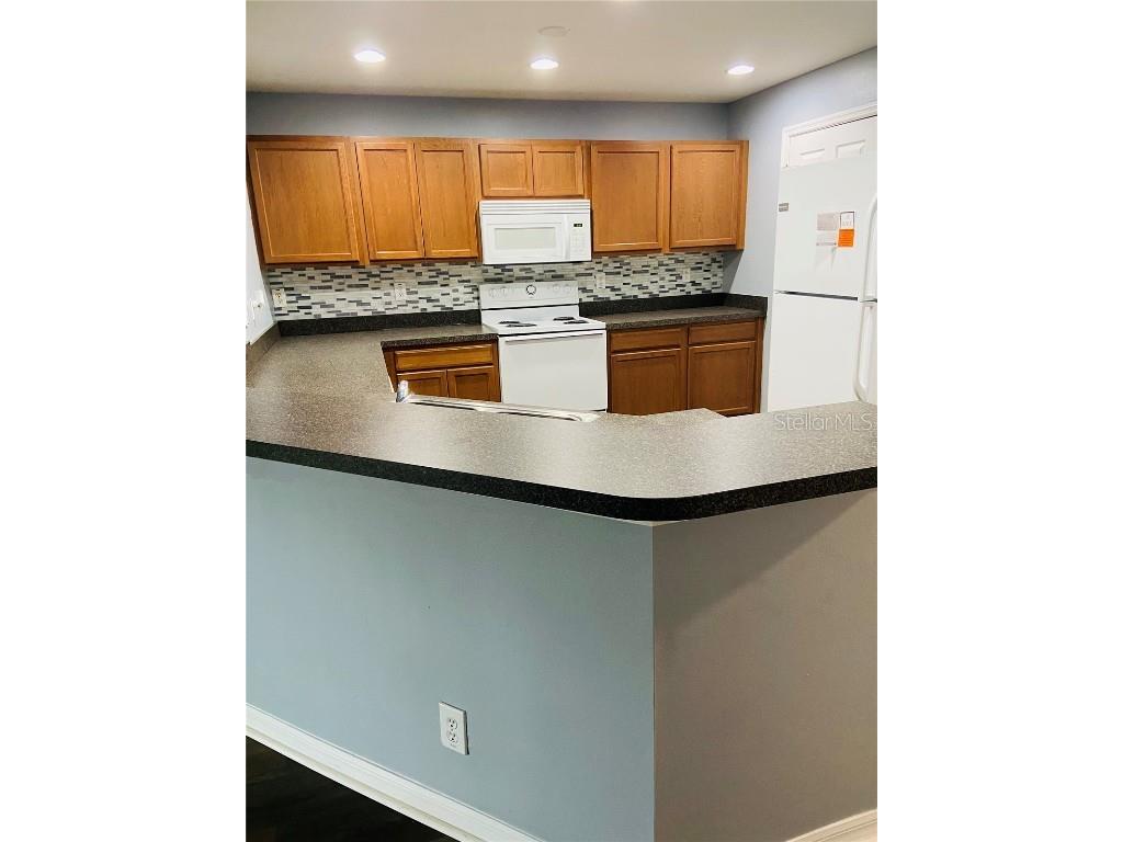 11658 Mango Ridge Boulevard Seffner FL 33584 TB8457020 image5