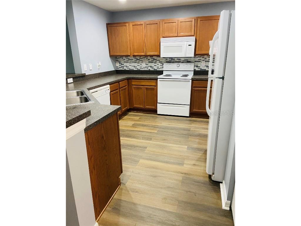 11658 Mango Ridge Boulevard Seffner FL 33584 TB8457020 image6