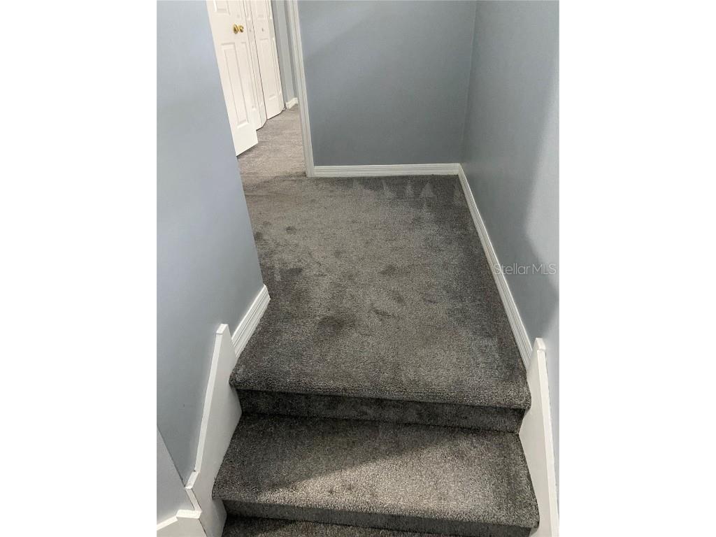 11658 Mango Ridge Boulevard Seffner FL 33584 TB8457020 image8