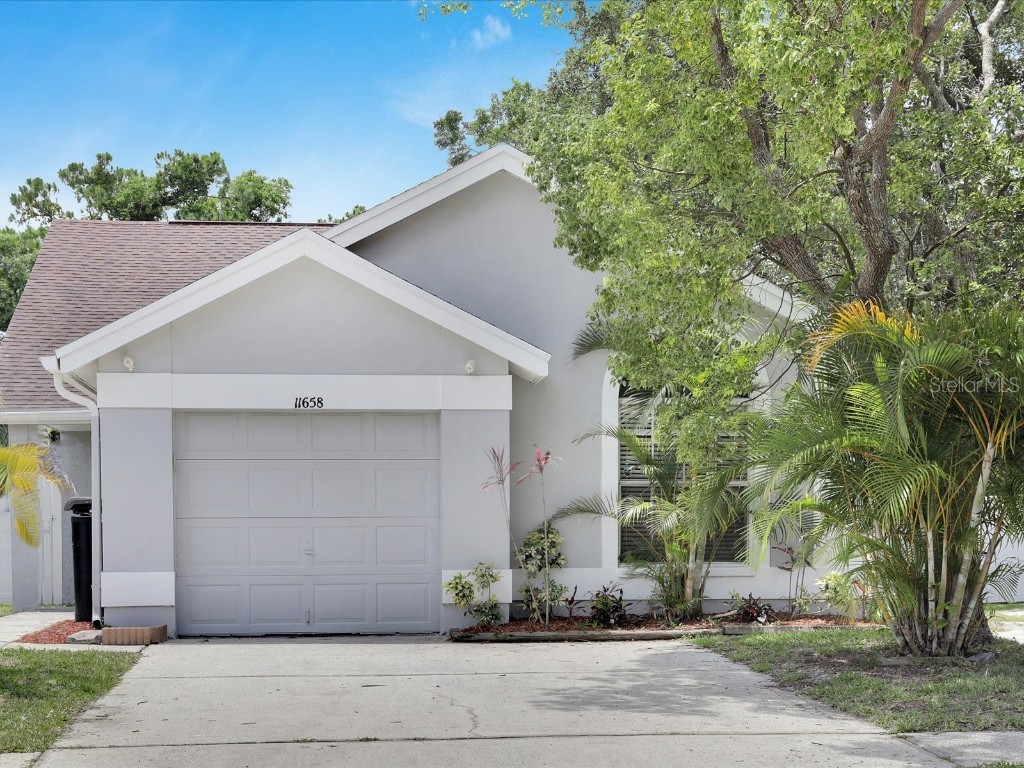 11658 Sunshine Pond Road Tampa FL 33635 U8199879 image1