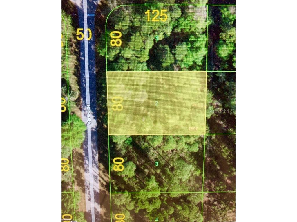 1166 Agnew Street Port Charlotte FL 33980 D6122380 image1