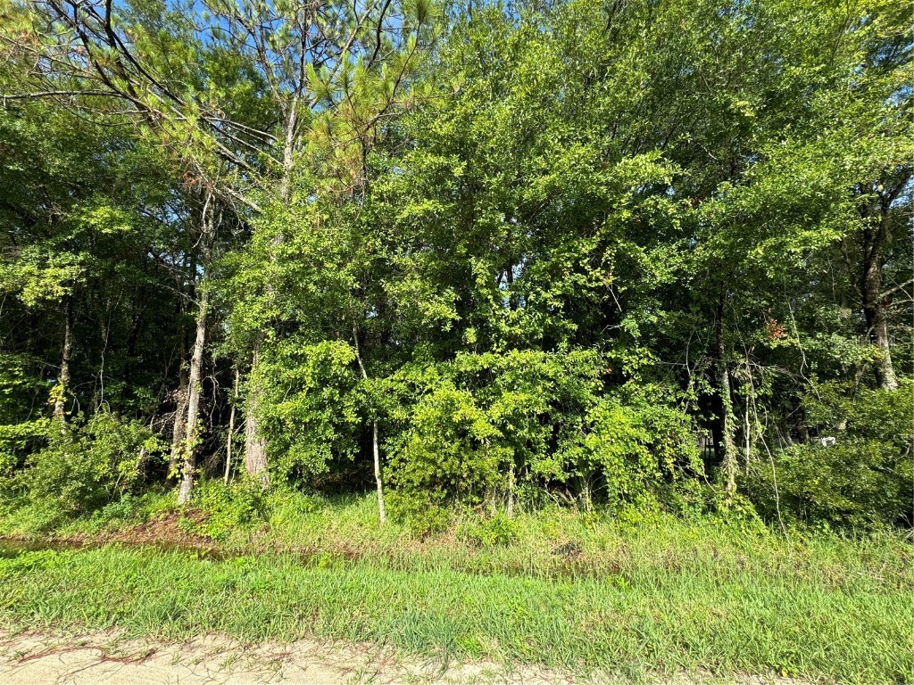 1166 Sherwood Street Bunnell FL 32110 FC302126 image1