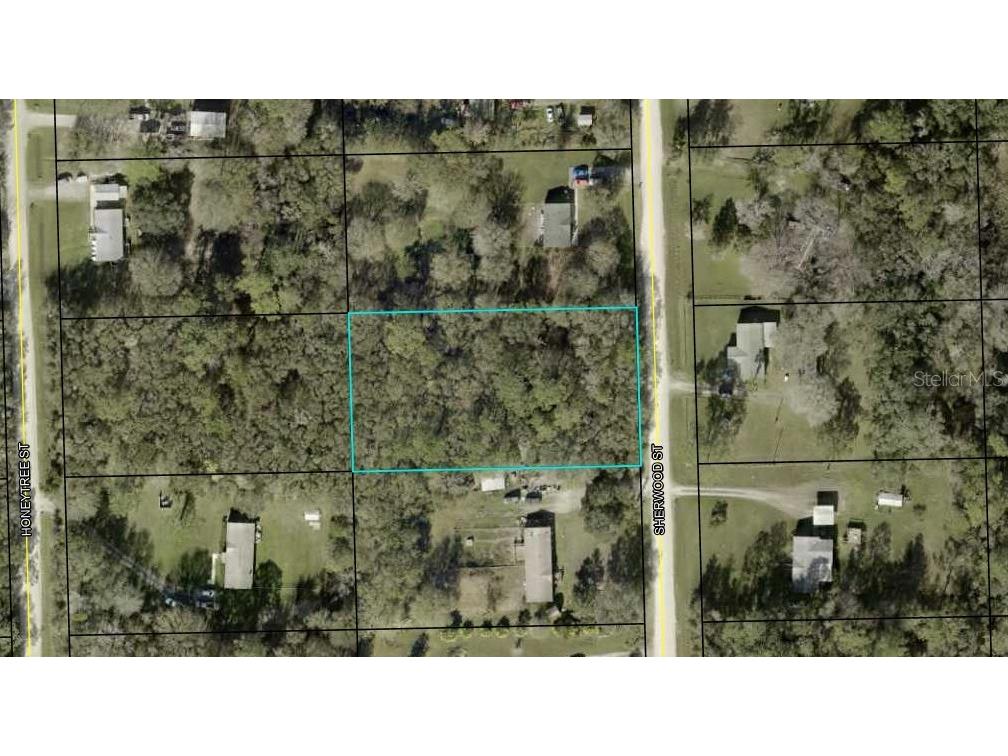 1166 Sherwood Street Bunnell FL 32110 FC311417 image3