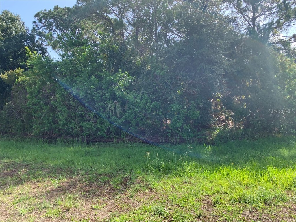 11667 Oceanspray Boulevard Englewood FL 34224 C7446085 image1