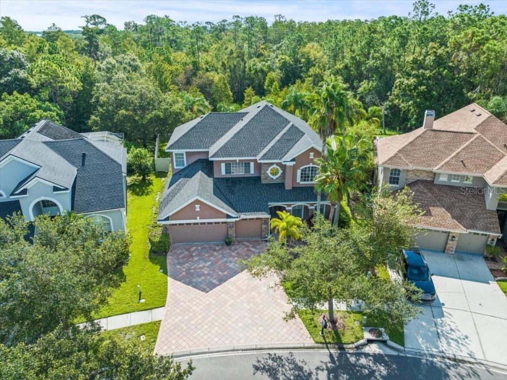 11668 Renaissance View Court Tampa FL 33626 T3469249 image1