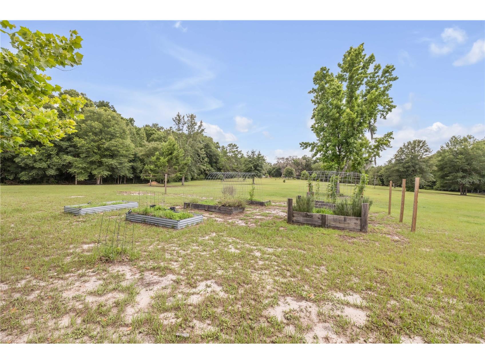 1167 Ohio Street De Leon Springs FL 32130 NS1088425 image57
