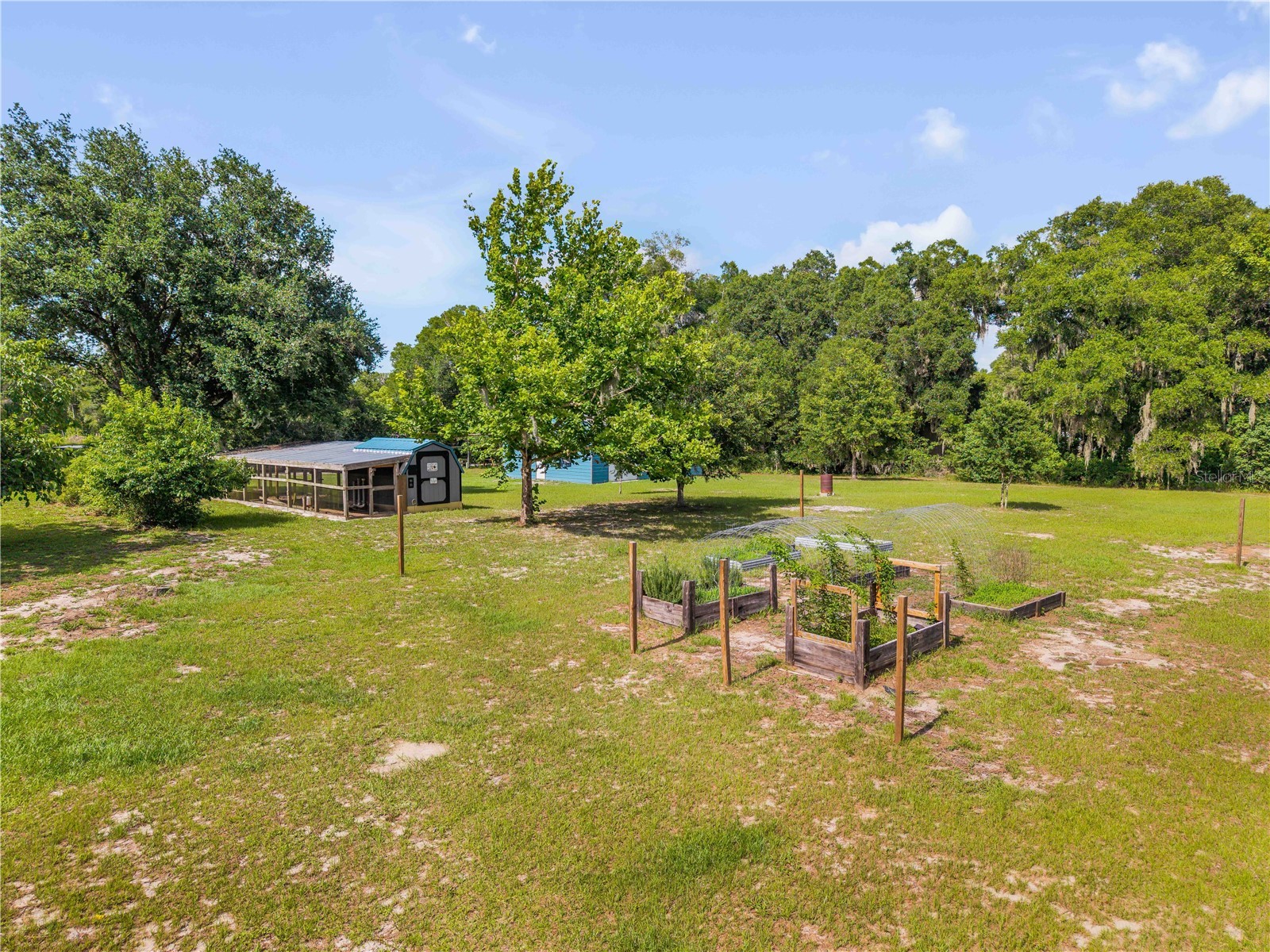 1167 Ohio Street De Leon Springs FL 32130 NS1088425 image86