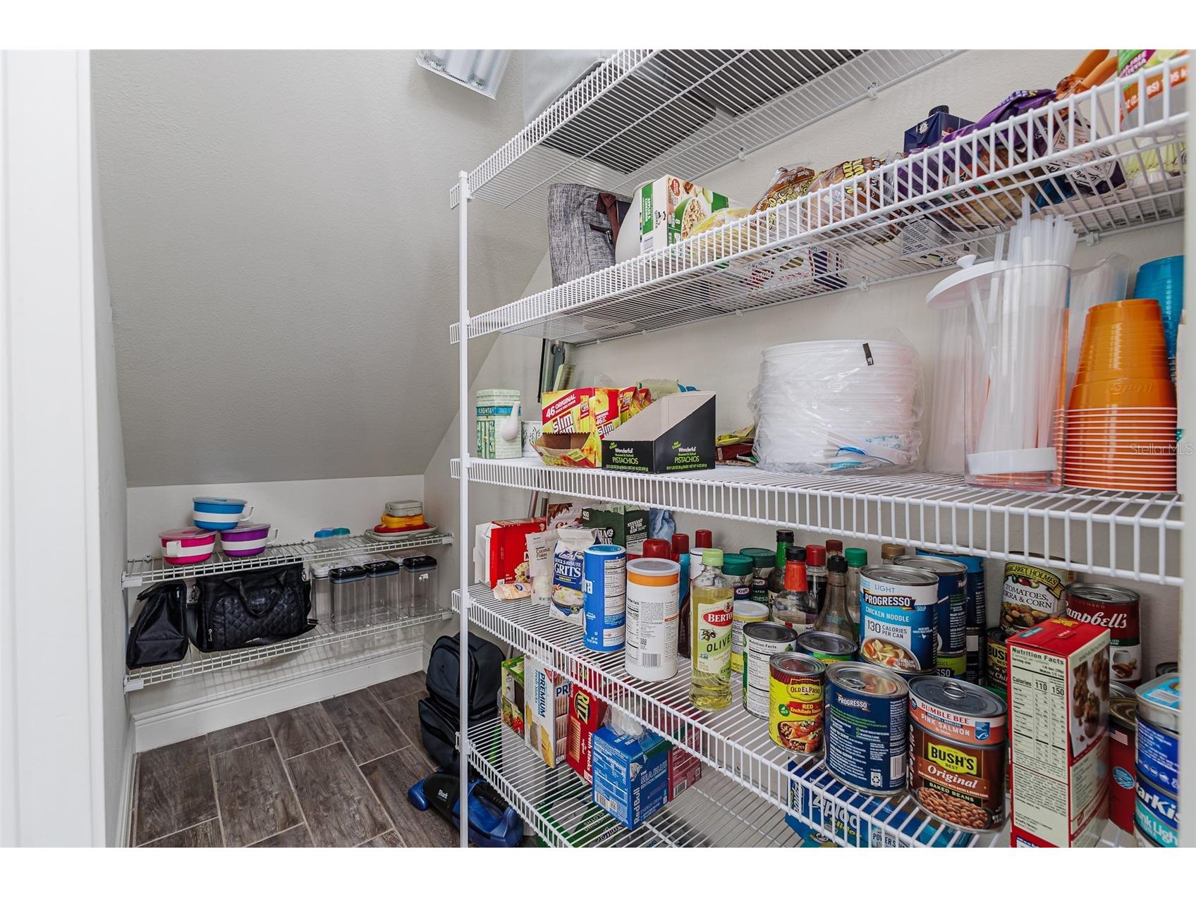 11670 Cambium Crown Drive Riverview FL 33569 L4960656 image29