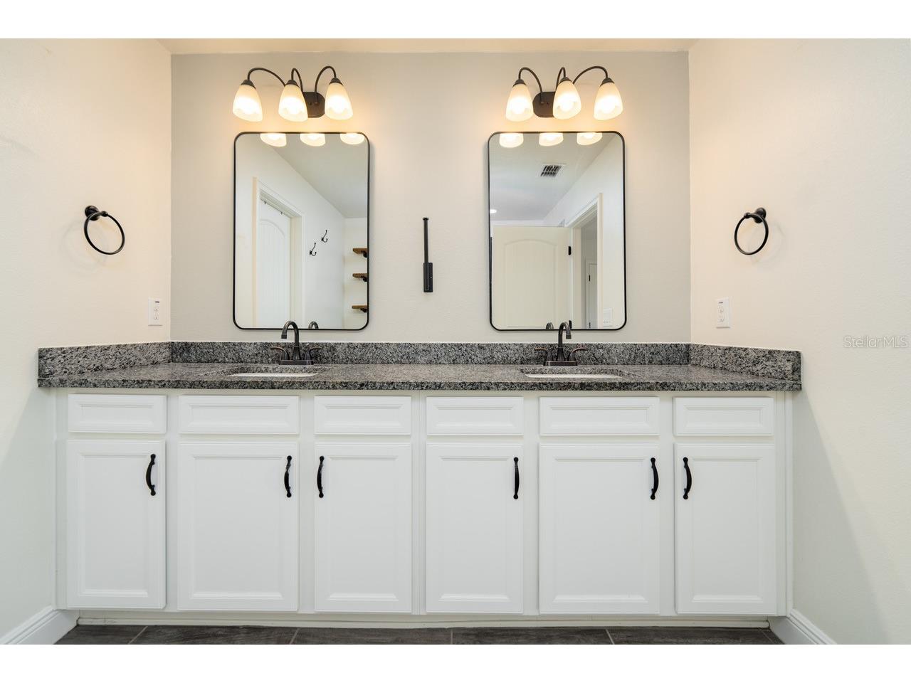 11670 Cambium Crown Drive Riverview FL 33569 TB8520758 image22
