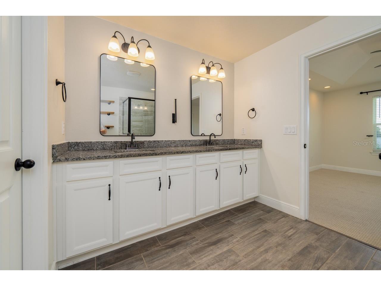 11670 Cambium Crown Drive Riverview FL 33569 TB8520758 image24