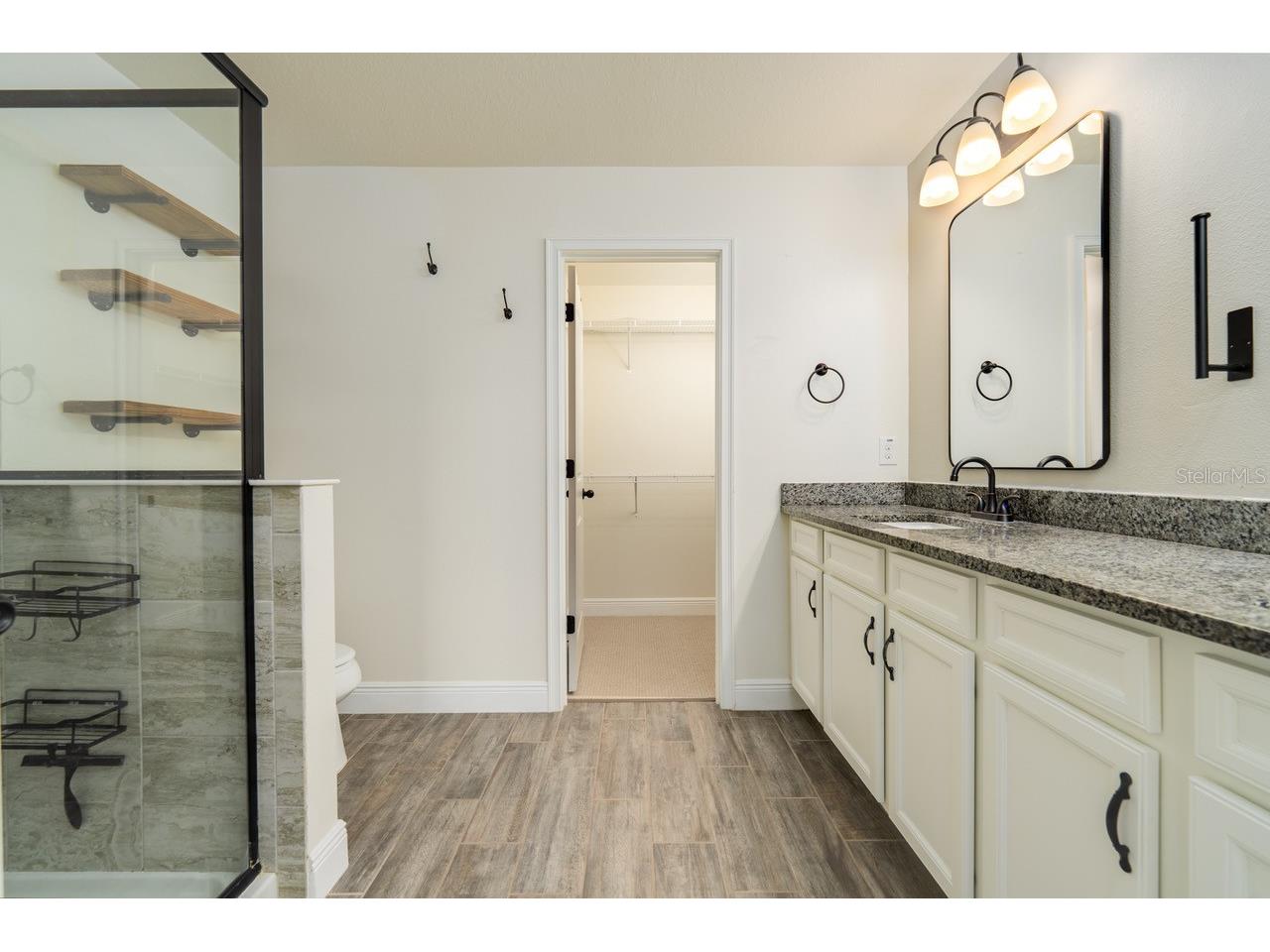 11670 Cambium Crown Drive Riverview FL 33569 TB8520758 image25