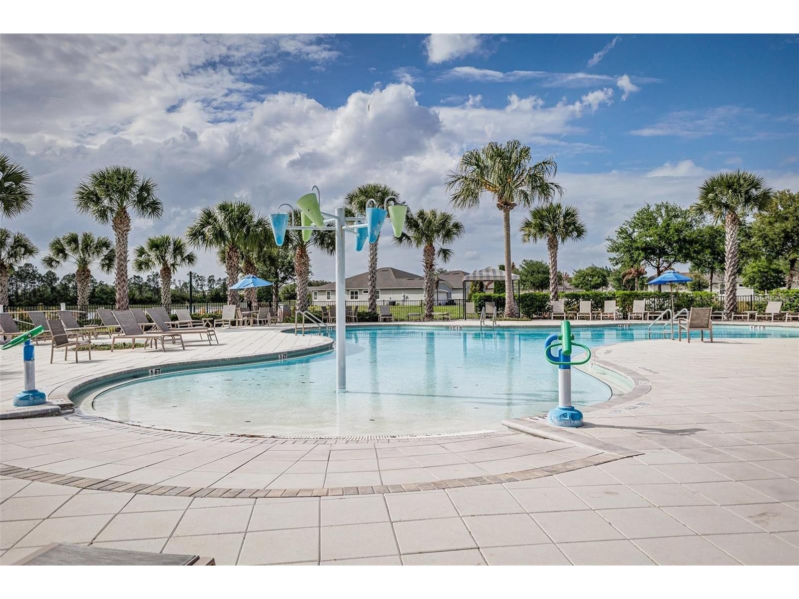 11670 Cambium Crown Drive Riverview FL 33569 TB8520758 image42