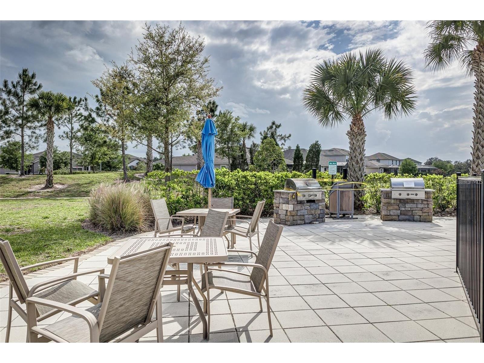 11670 Cambium Crown Drive Riverview FL 33569 TB8520758 image47