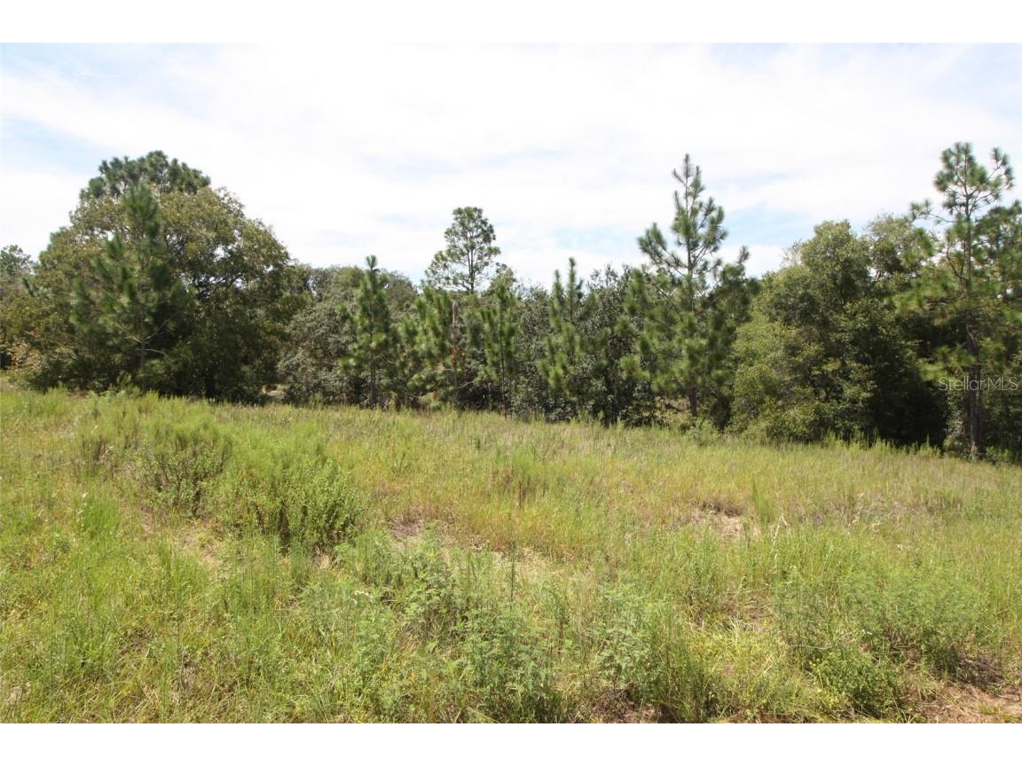 11670 N Providence Way Citrus Springs FL 34433 GC447209 image1