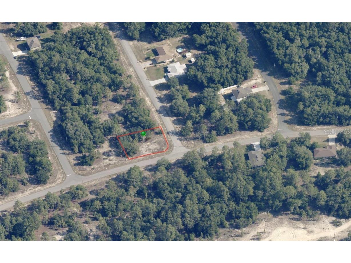 11670 N Providence Way Citrus Springs FL 34434 OM697686 image1