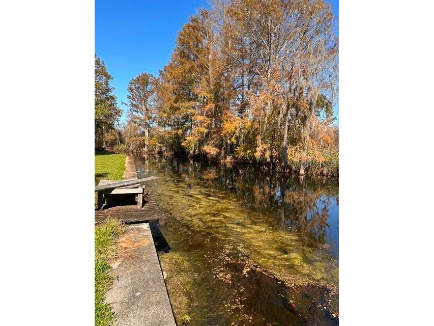 11671 E Salmon Drive Floral City FL 34436 OM722131 image20
