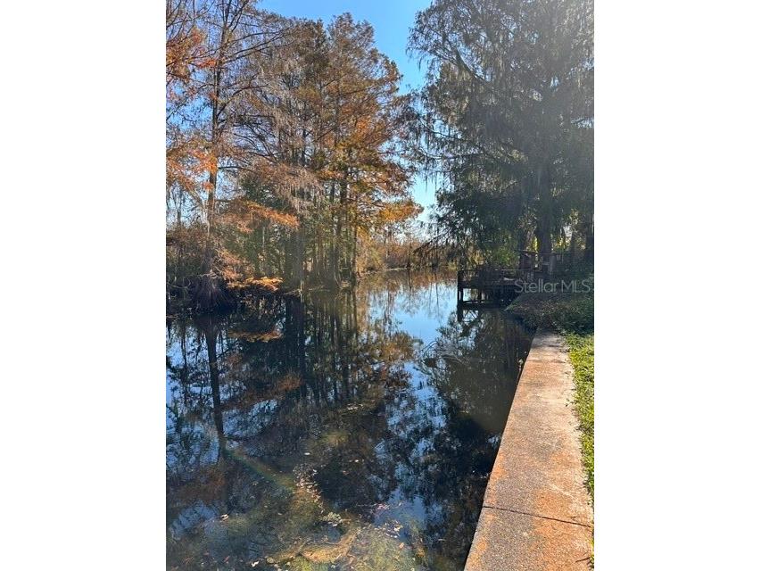 11671 E Salmon Drive Floral City FL 34436 OM722131 image21