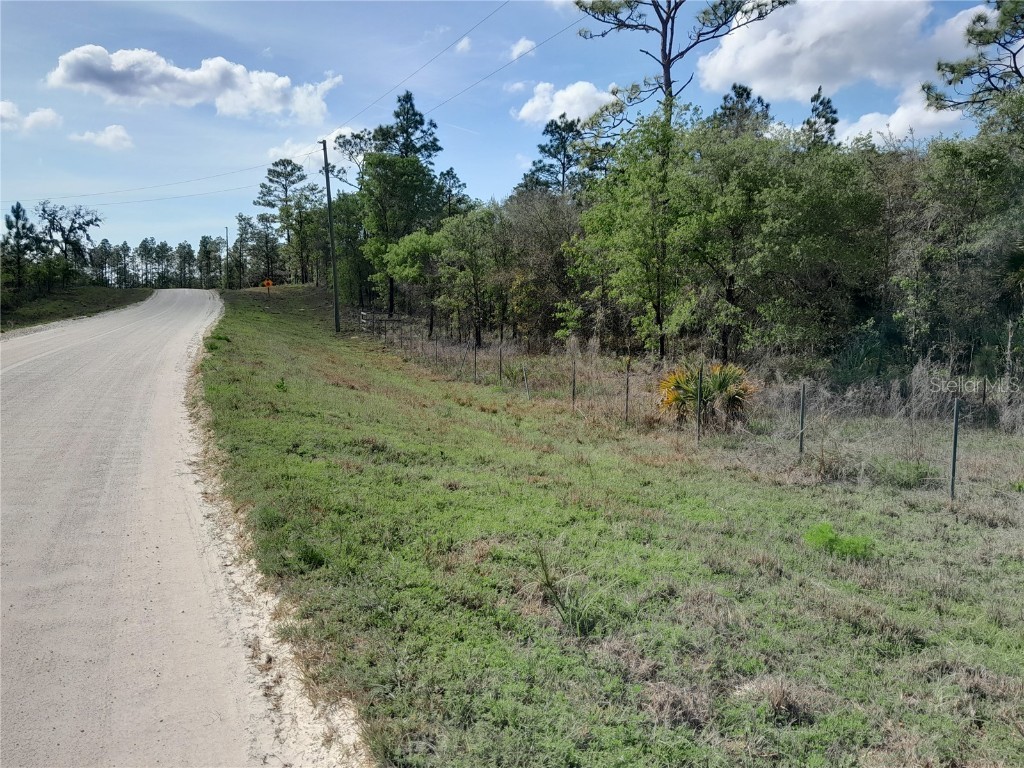 11671 SE 71st Place Morriston FL 32668 OM655409 image1