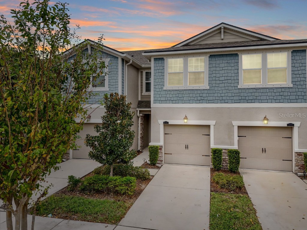 11676 Cambium Crown Drive Riverview FL 33569 TB8319265 image1