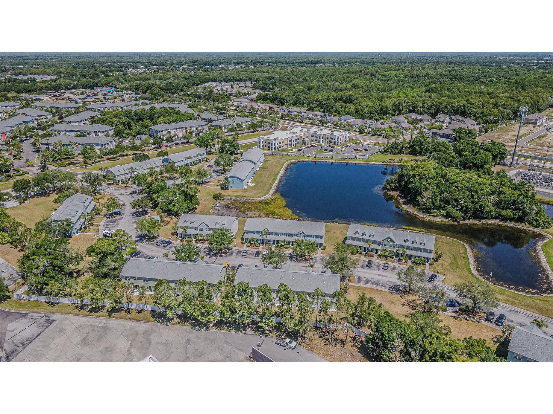 11676 Declaration Drive Tampa FL 33635 TB8503814 image6