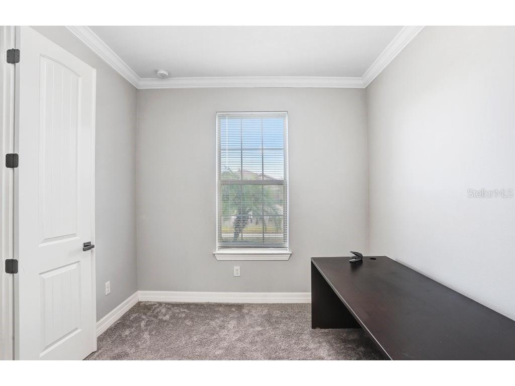 11677 Brighton Knoll Loop Riverview FL 33579 TB8452906 image4