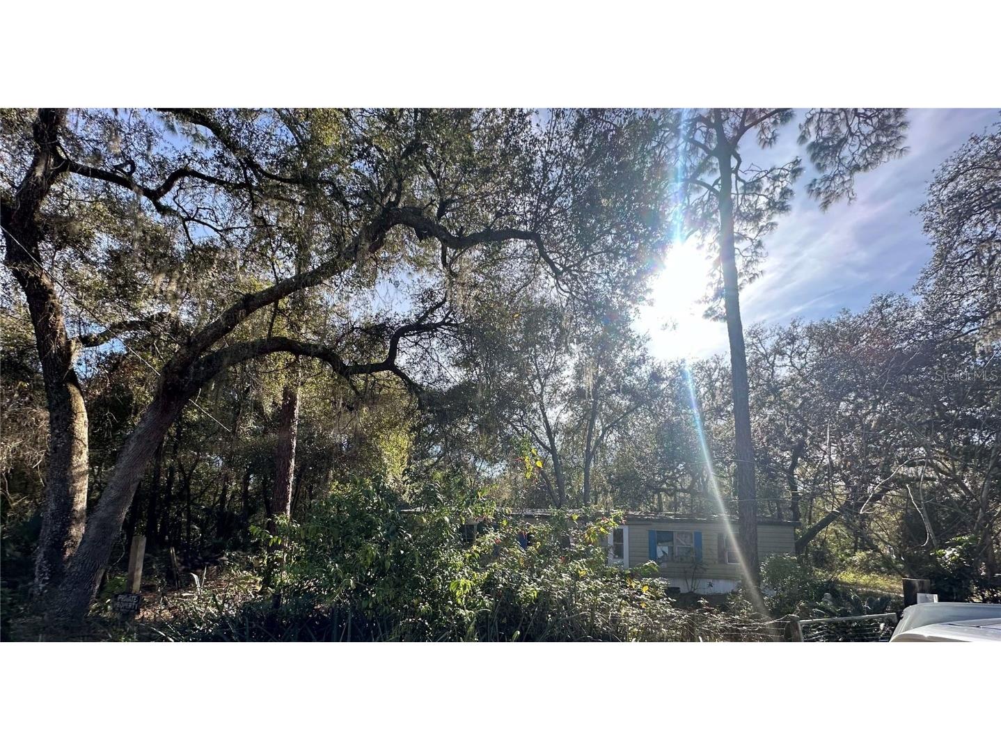 11678 Northeast 227th Place Fort Mc Coy FL 32134 OM692581 image1