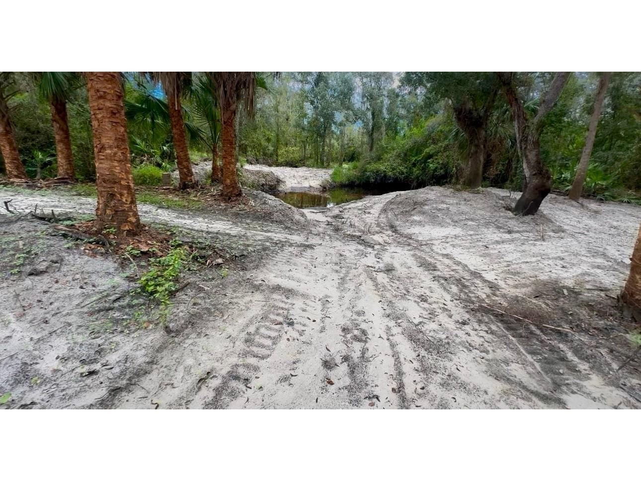 11679 SW Thornton Avenue Arcadia FL 34269 A4664535 image2