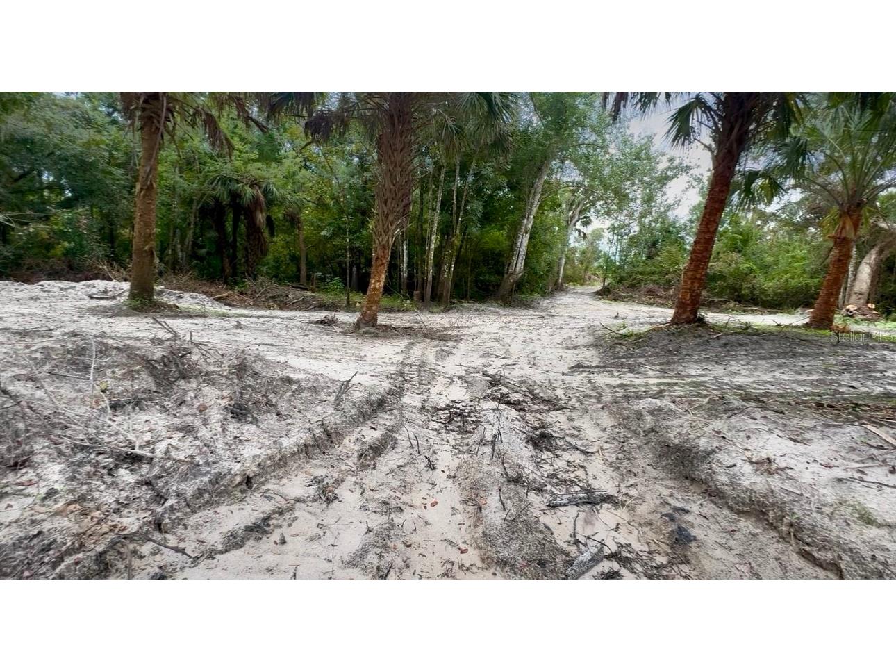 11679 SW Thornton Avenue Arcadia FL 34269 A4664535 image3