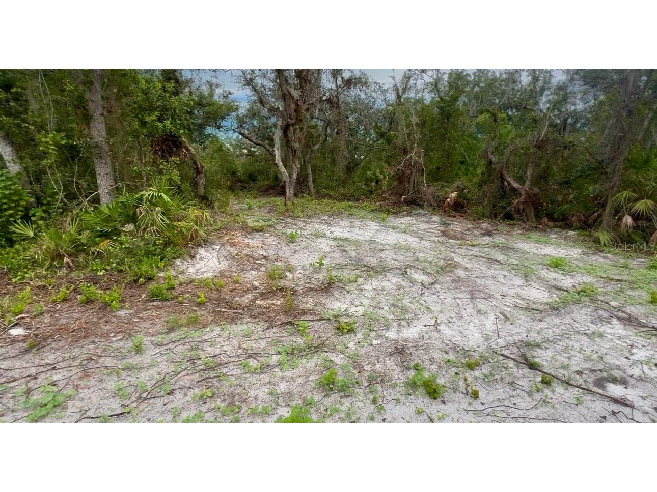 11679 SW Thornton Avenue Arcadia FL 34269 A4664535 image4