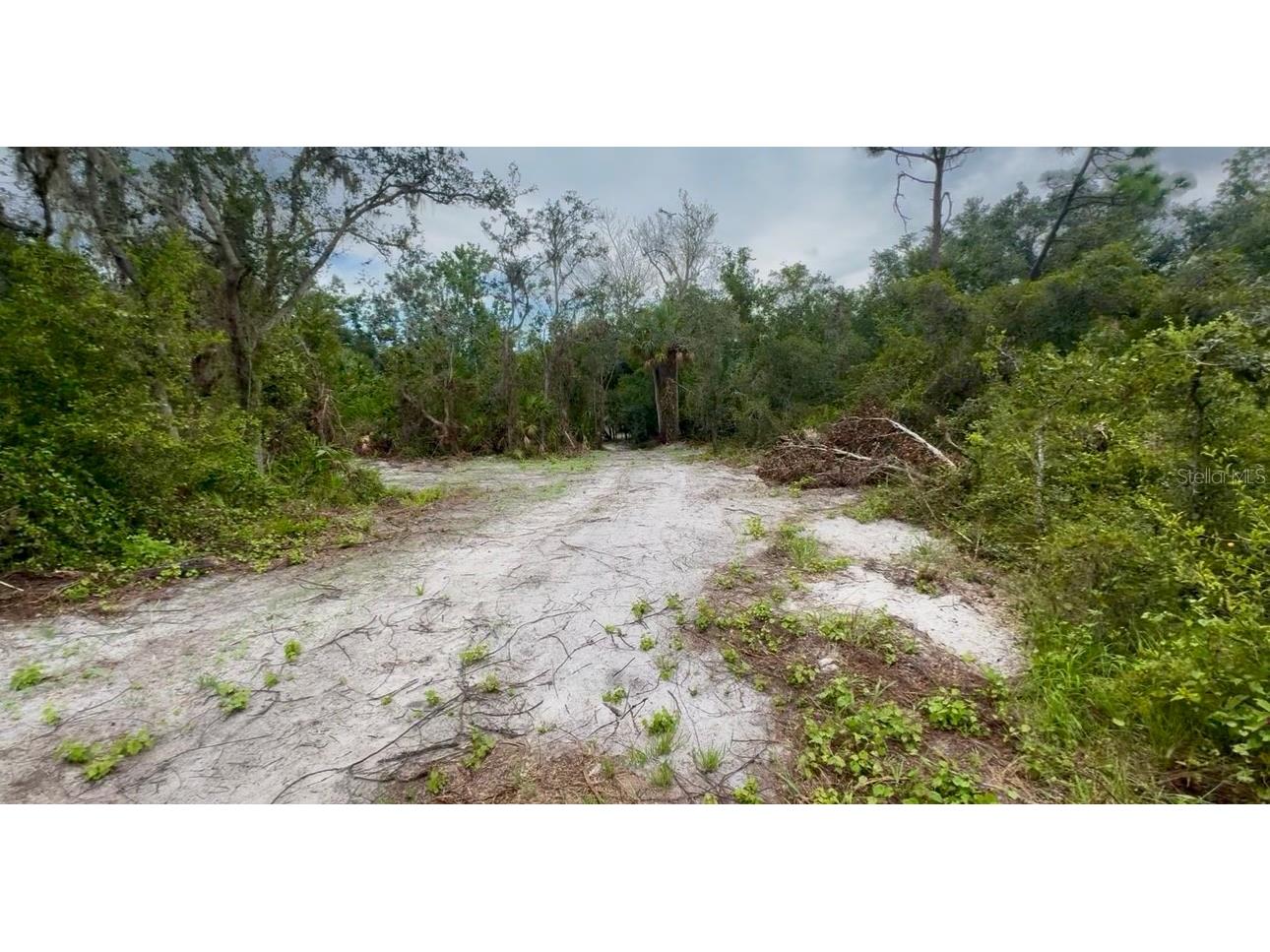 11679 SW Thornton Avenue Arcadia FL 34269 A4664535 image5