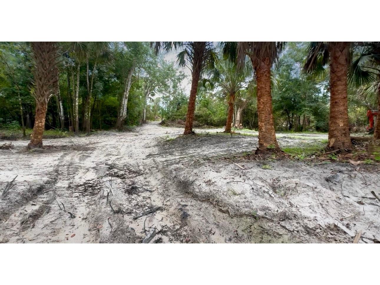 11679 SW Thornton Avenue Arcadia FL 34269 A4664535 image6