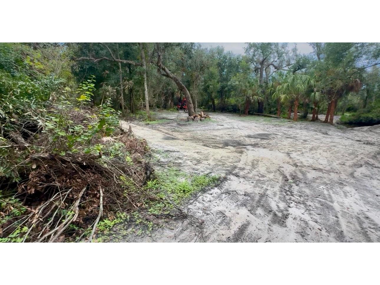 11679 SW Thornton Avenue Arcadia FL 34269 A4664535 image7