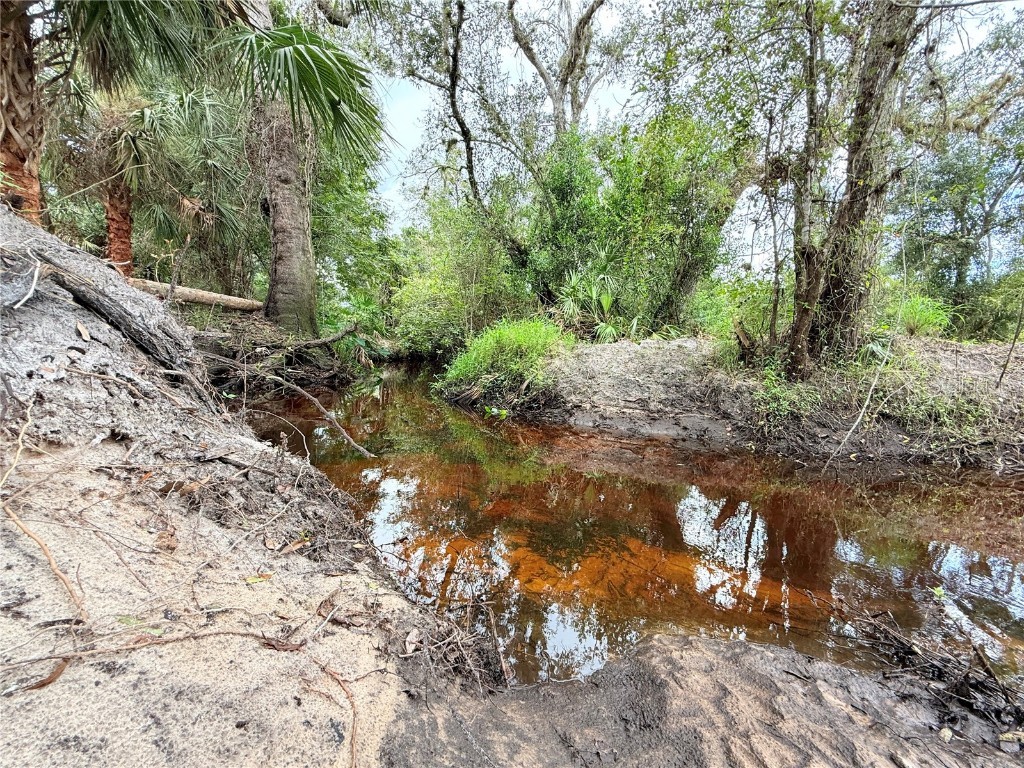 11679 SW Thornton Avenue Arcadia FL 34269 A4664535 image8