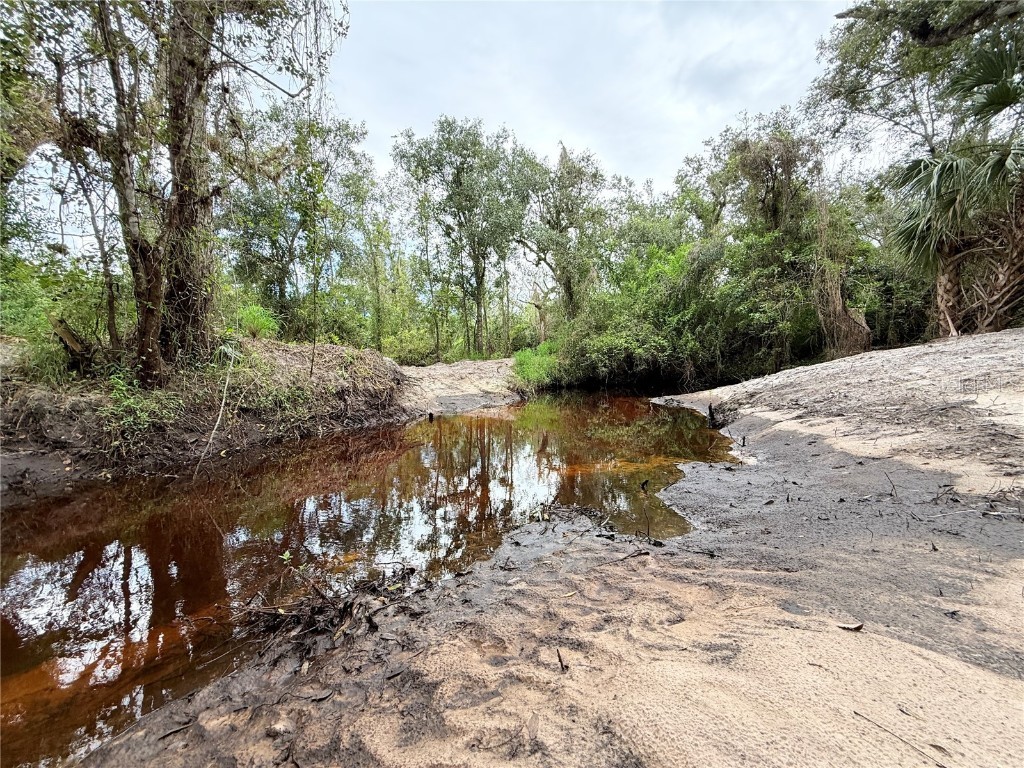 11679 SW Thornton Avenue Arcadia FL 34269 A4664535 image9