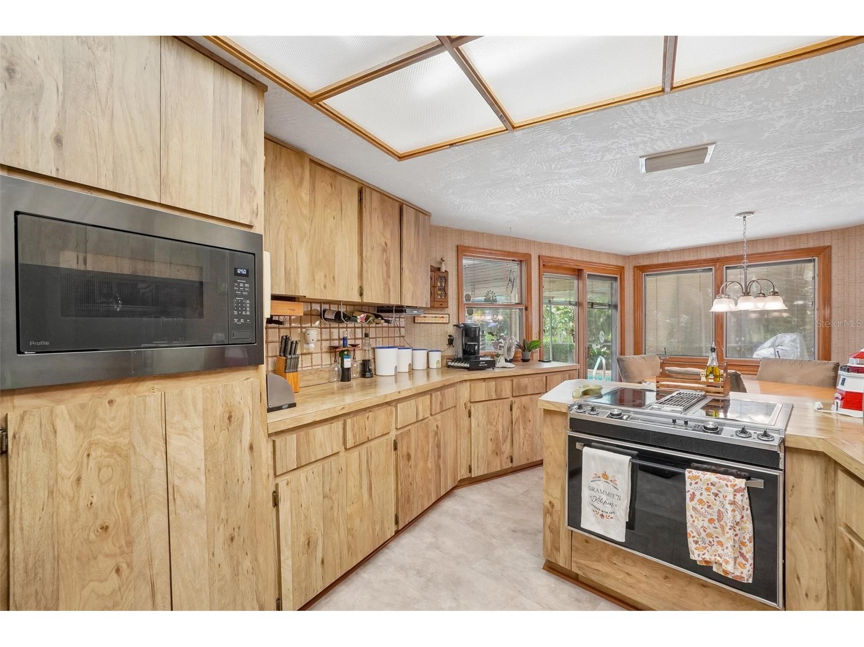 1168 Eniswood Parkway Palm Harbor FL 34683 TB8512884 image13
